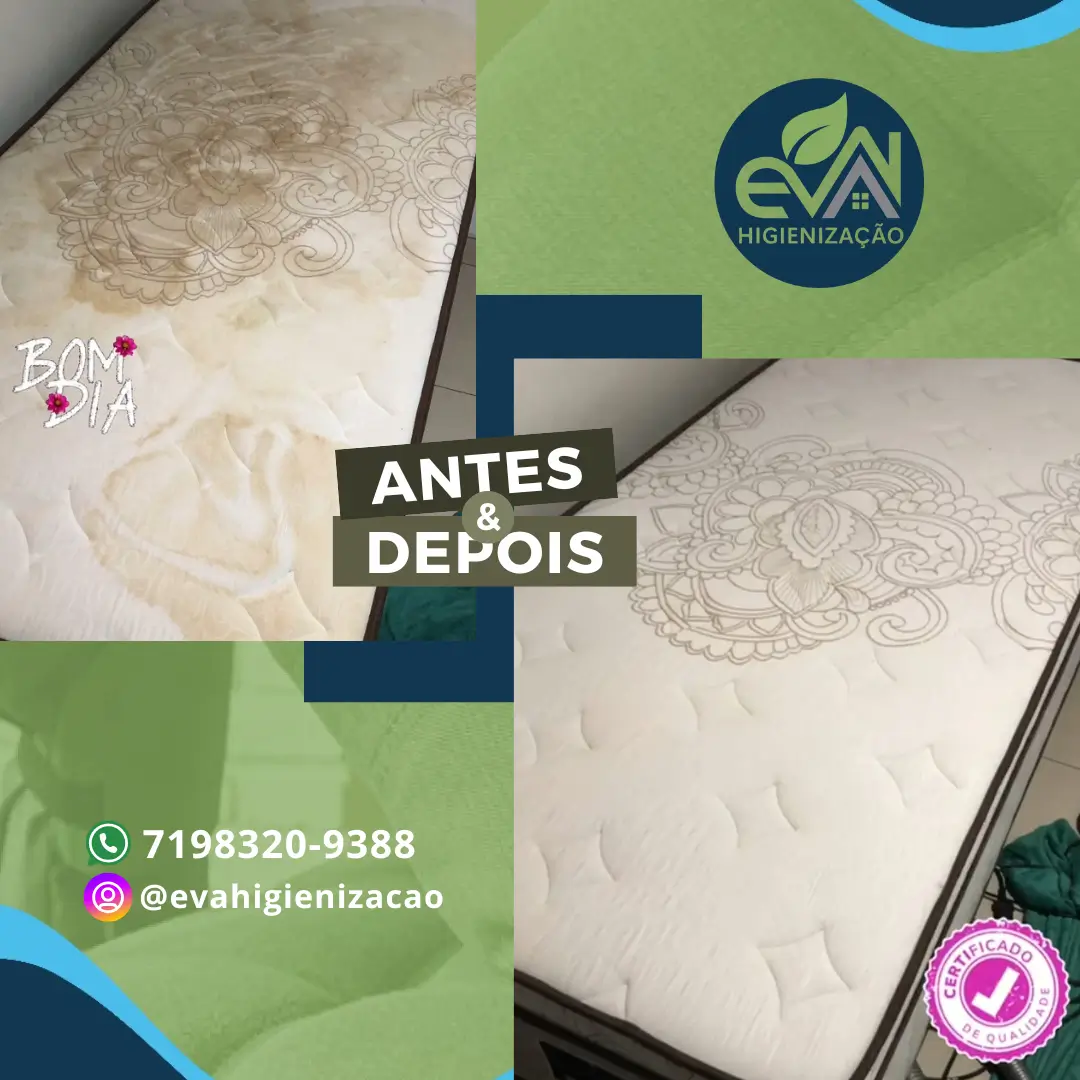 Eva Higienização e Impermeabilização - 8