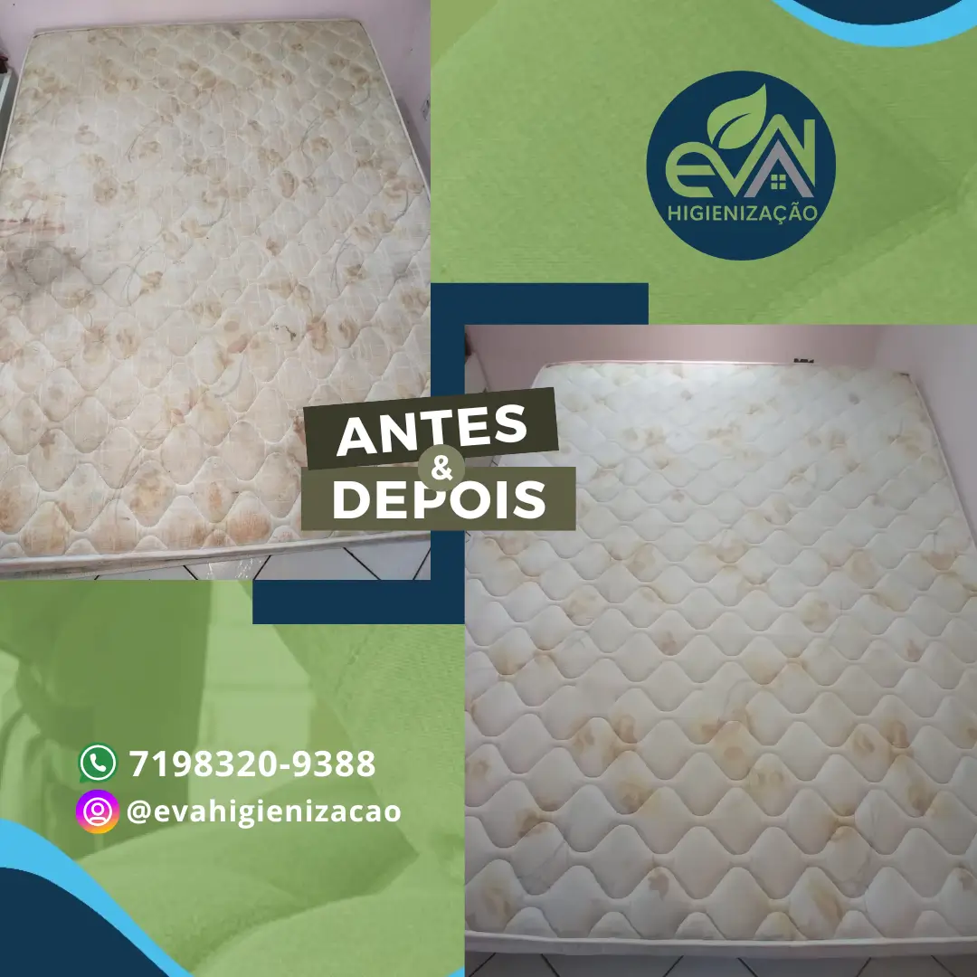 Eva Higienização e Impermeabilização - 4